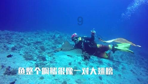 江西新余1.24特大火灾39死9伤 12名相关责任人被控制
